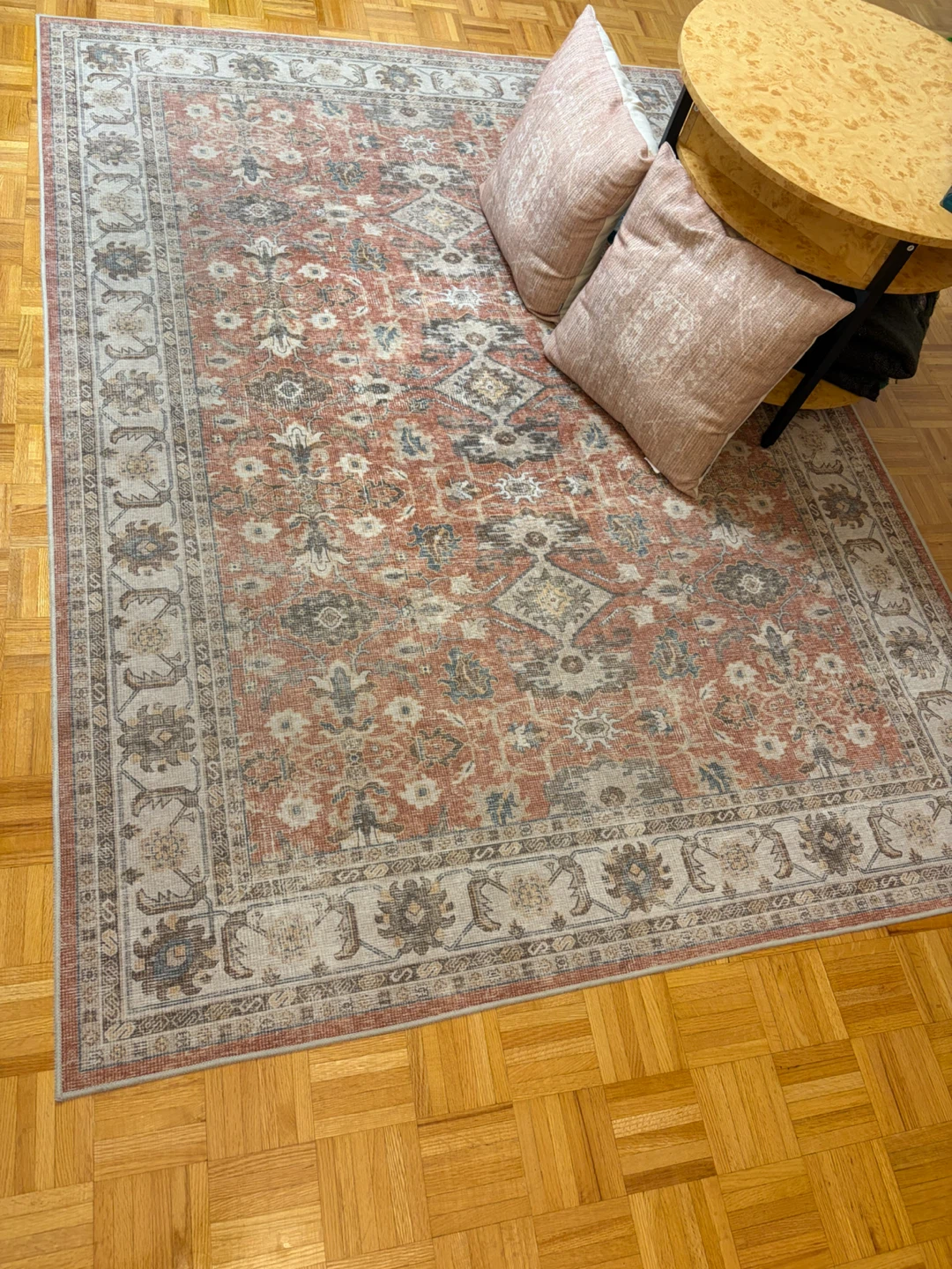 Traditional Medallion Area Rug with cushions