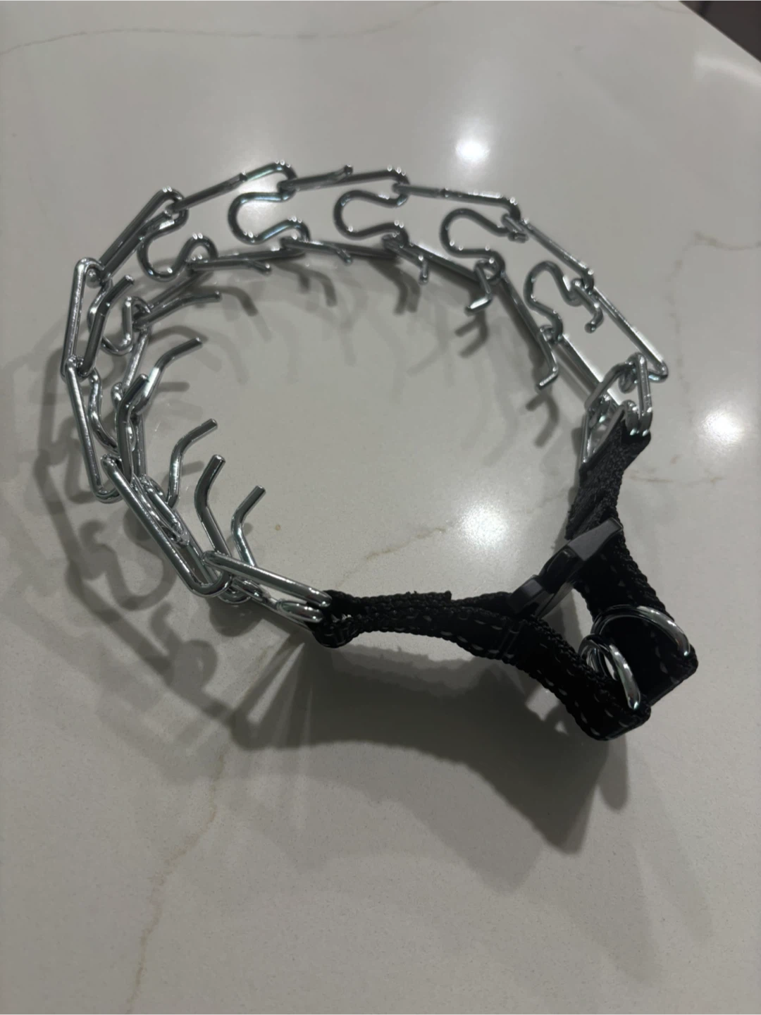 NEW Dog Prong 24” Training Collar for Training to Heel only