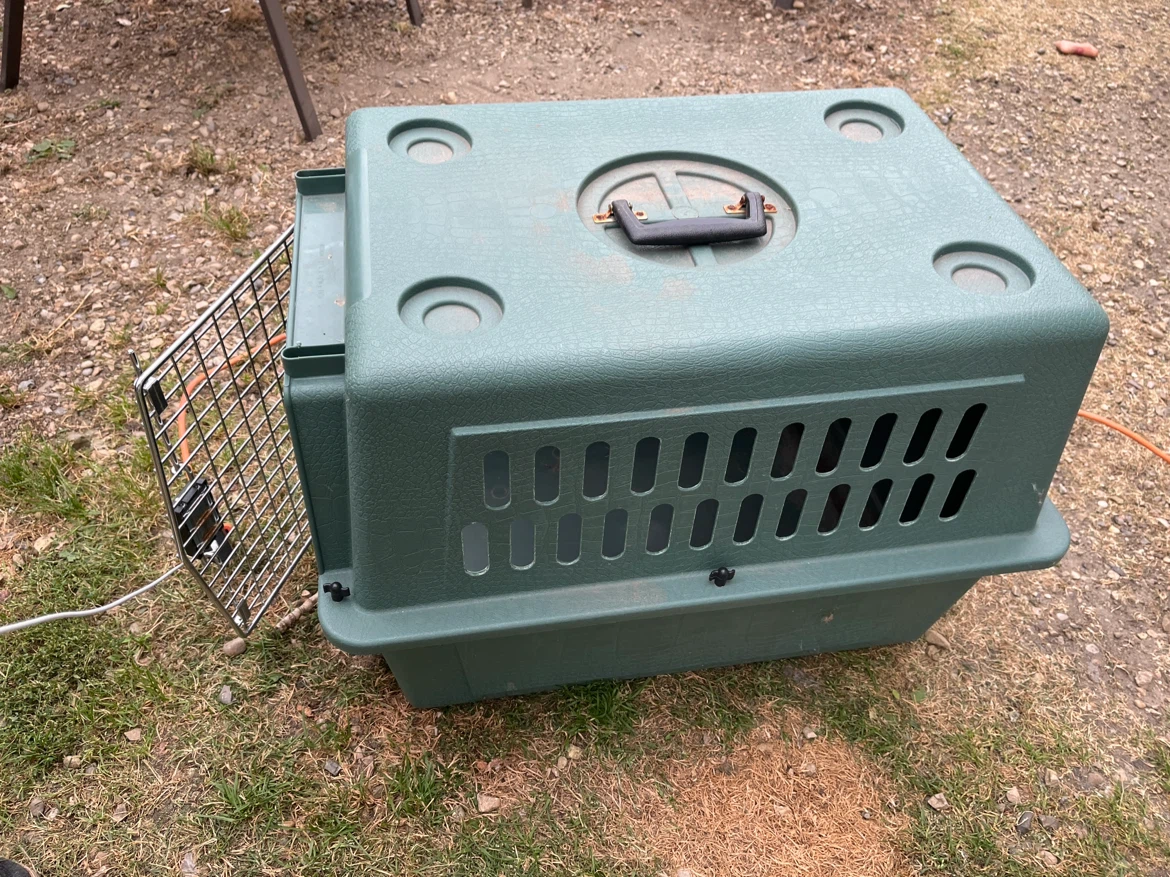 Petmate Green Pet Kennel - photo 2