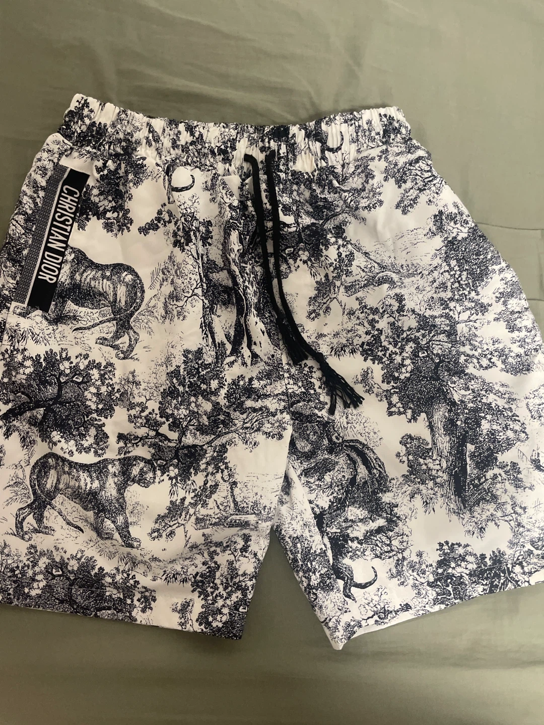 Christian Dior Toile de Jouy Swim Shorts