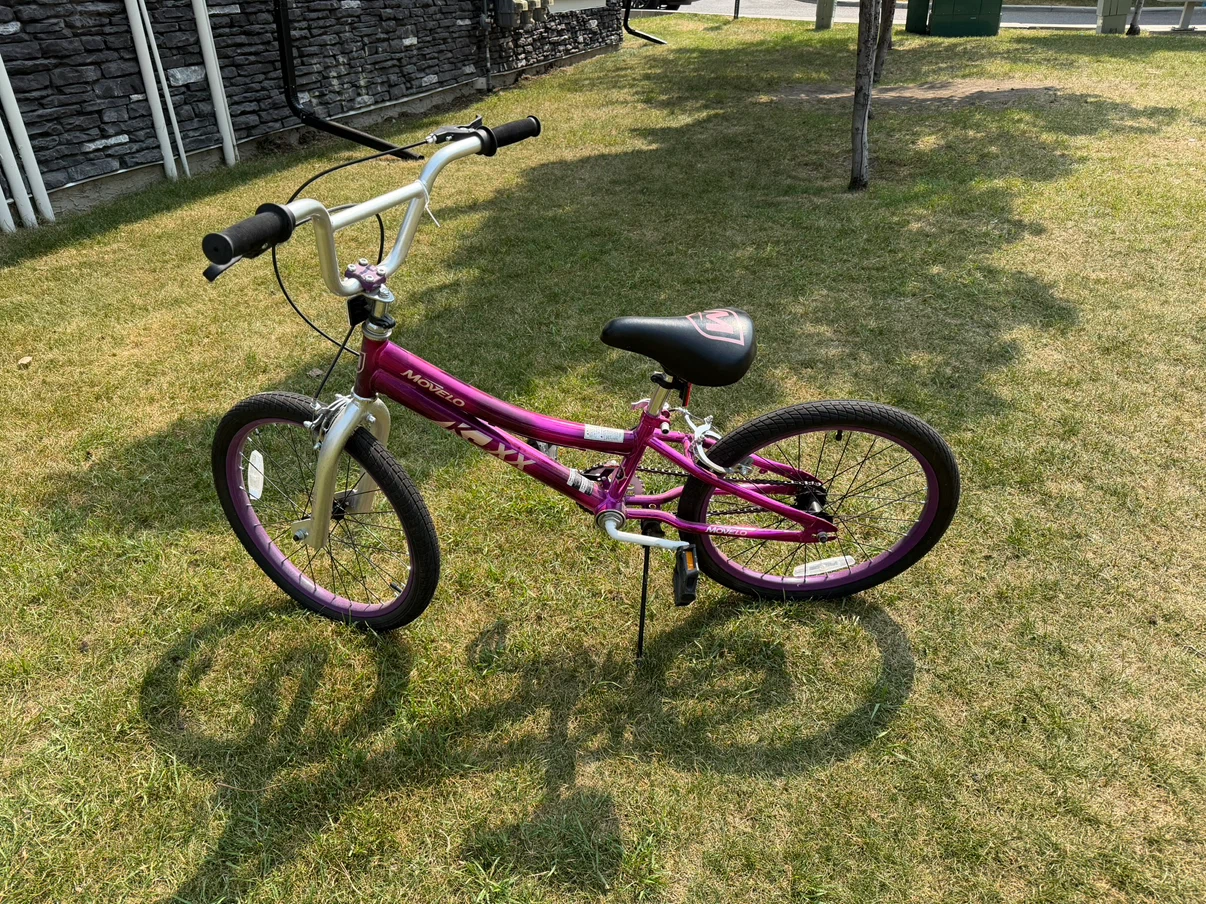 Girls 20 inch bike