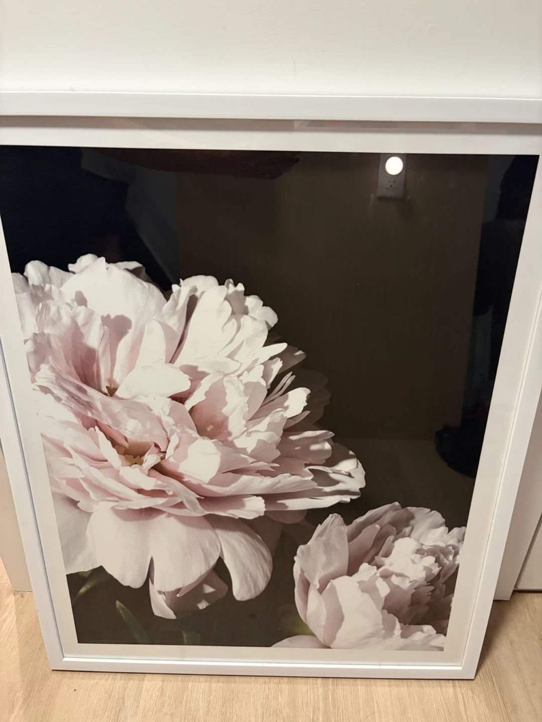 Peony Framed Wall Art