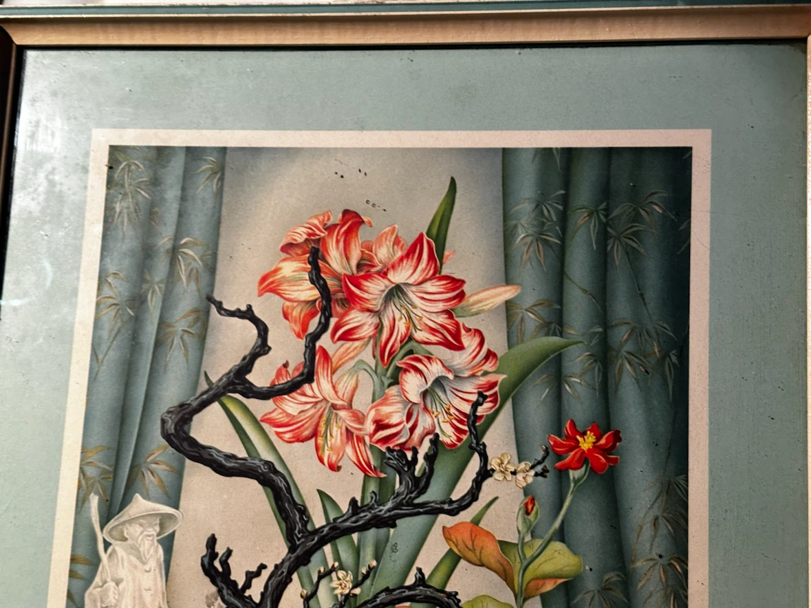 Vintage 1950s "Exotic Blossoms" Framed Print 18x15 - photo 3