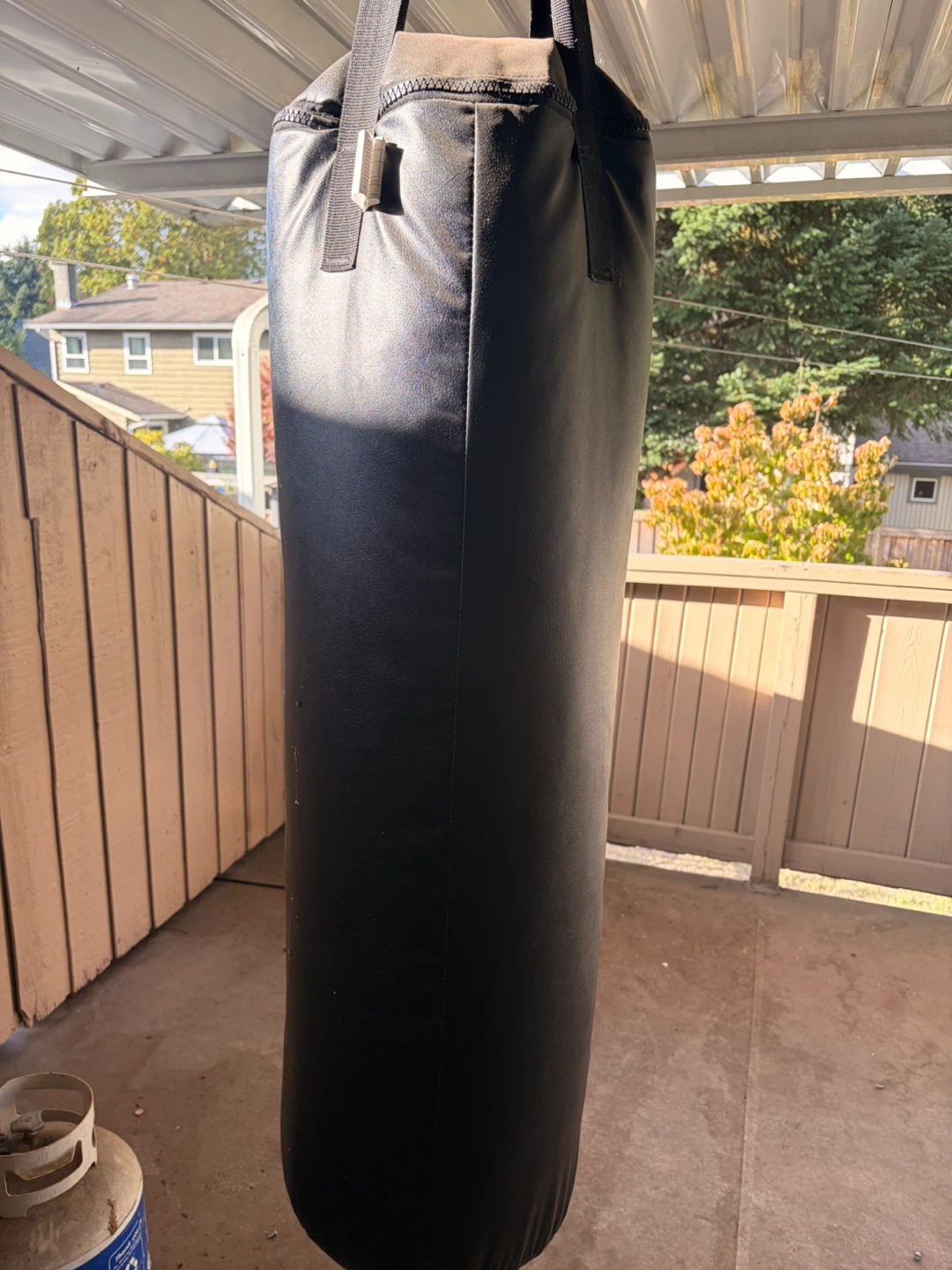 Punching Bag - photo 2