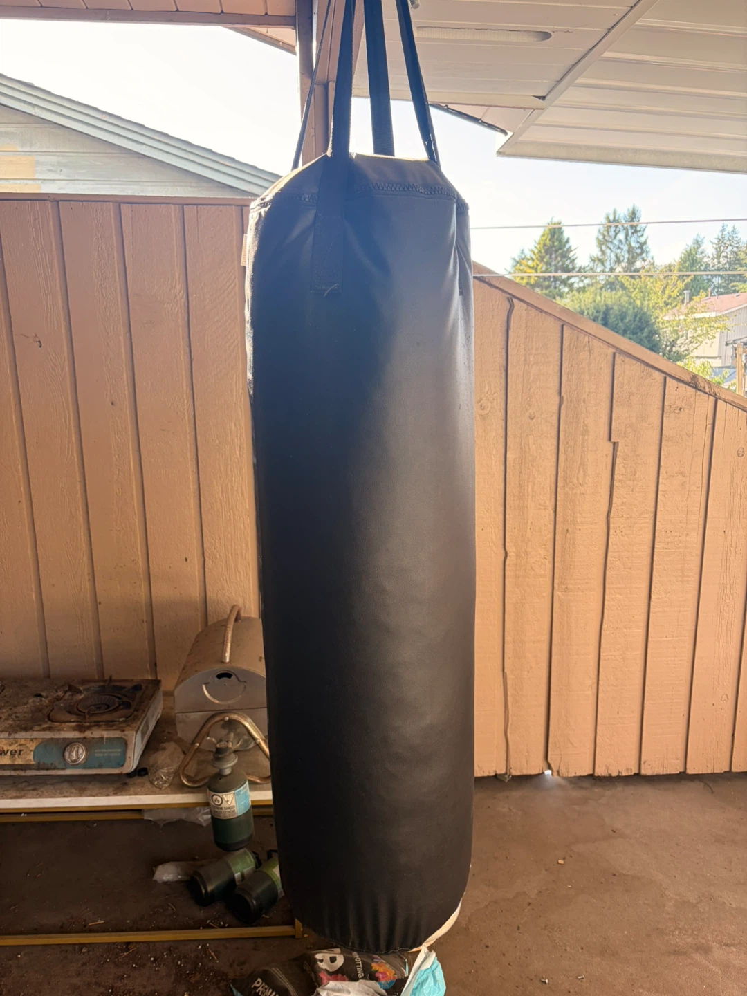 Punching Bag - photo 3