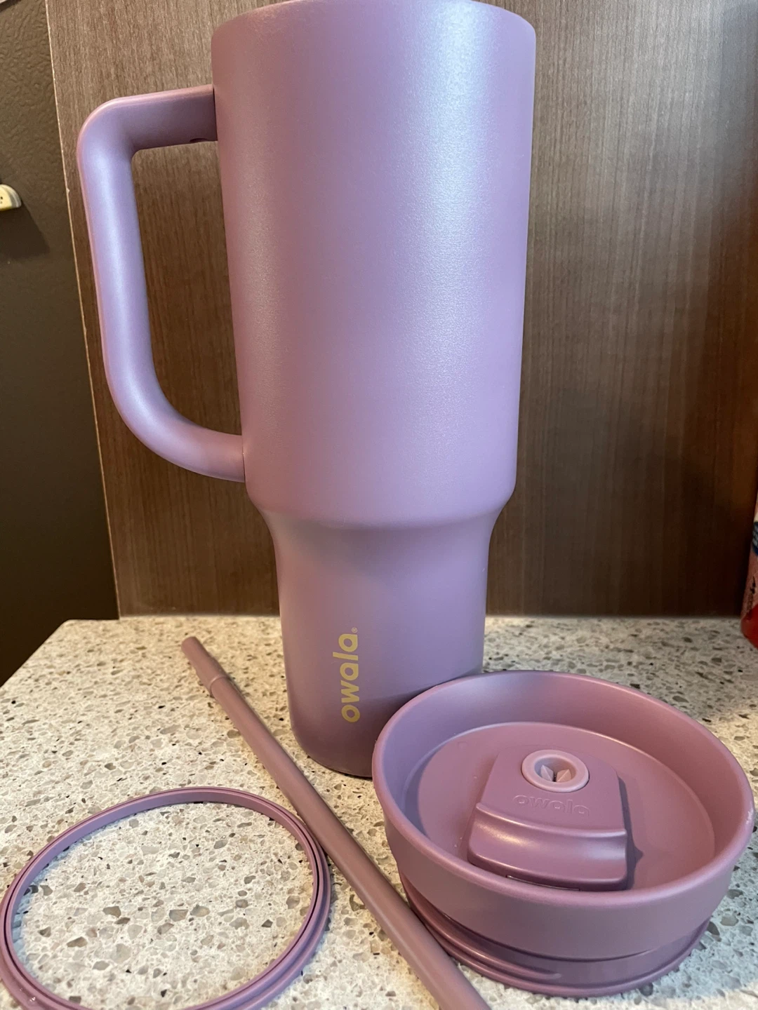 Owala 40oz Tumbler in Purple