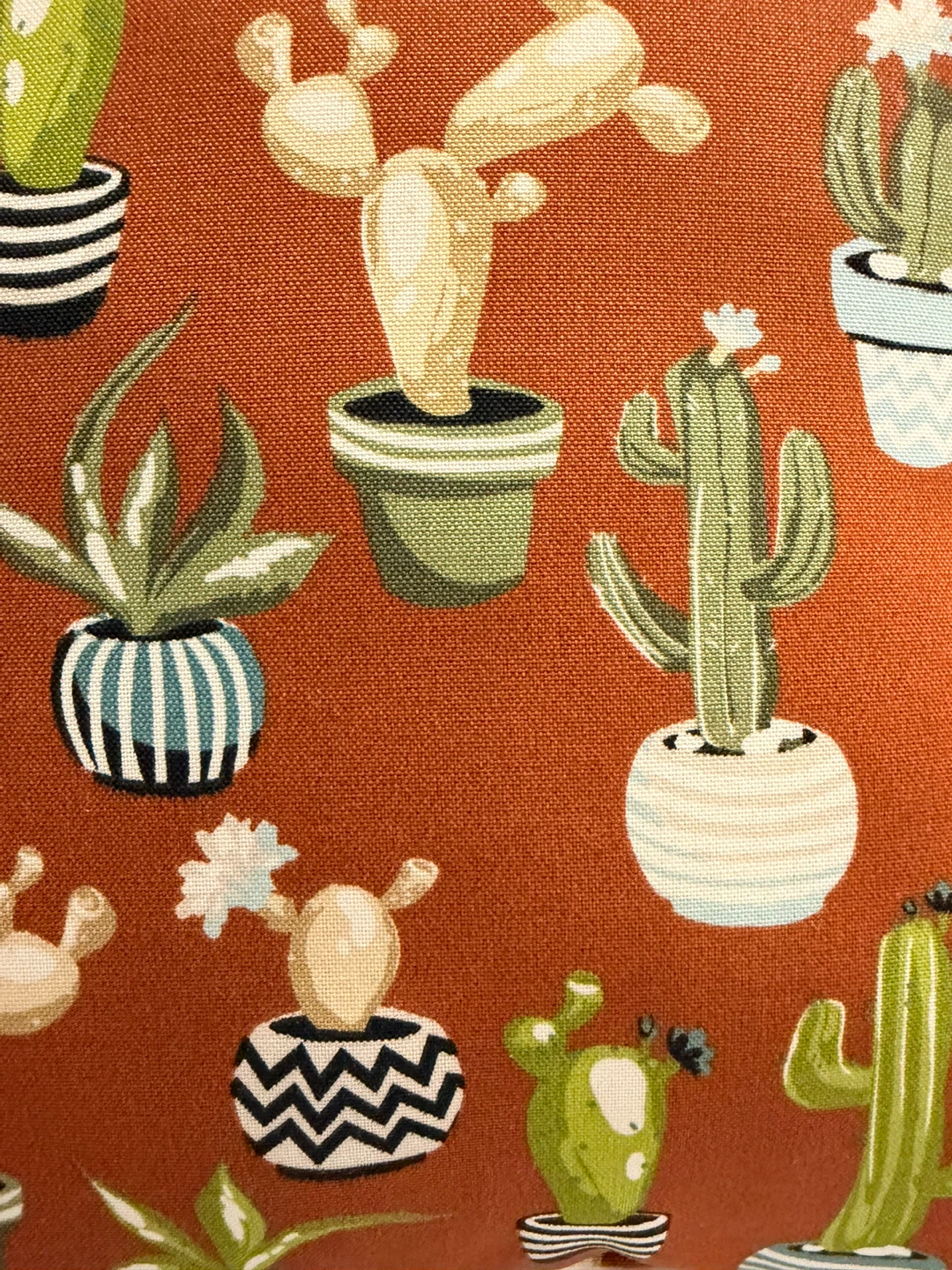 Hampton Bay Cactus Pattern Throw Pillows - photo 3