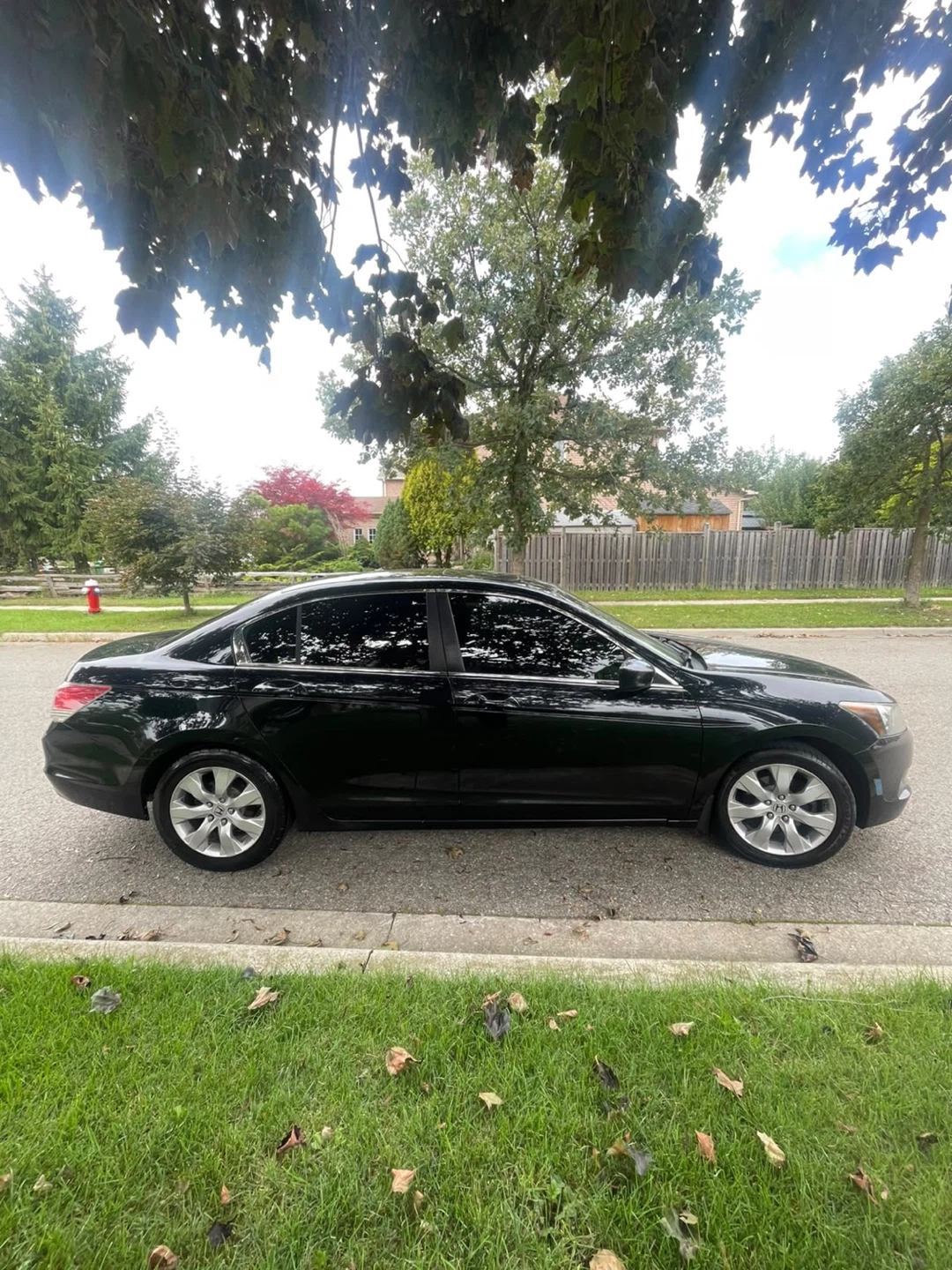 Honda Accord Sedan 2009