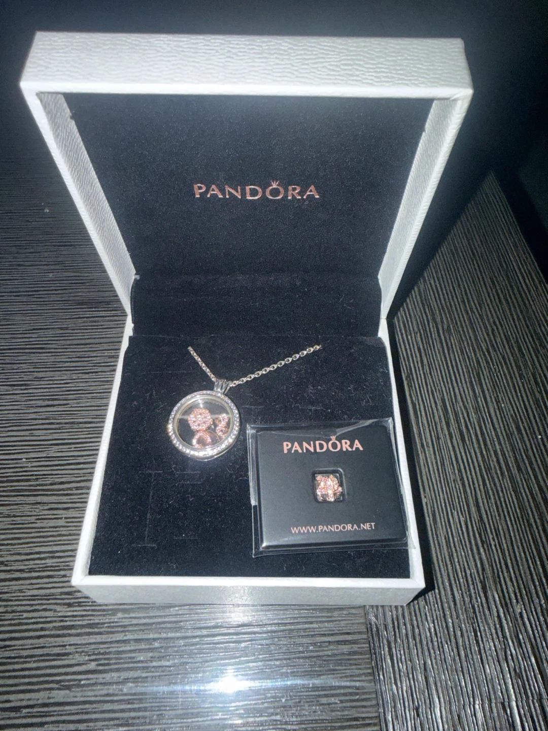 Pandora Floating Locket Necklace with Charms