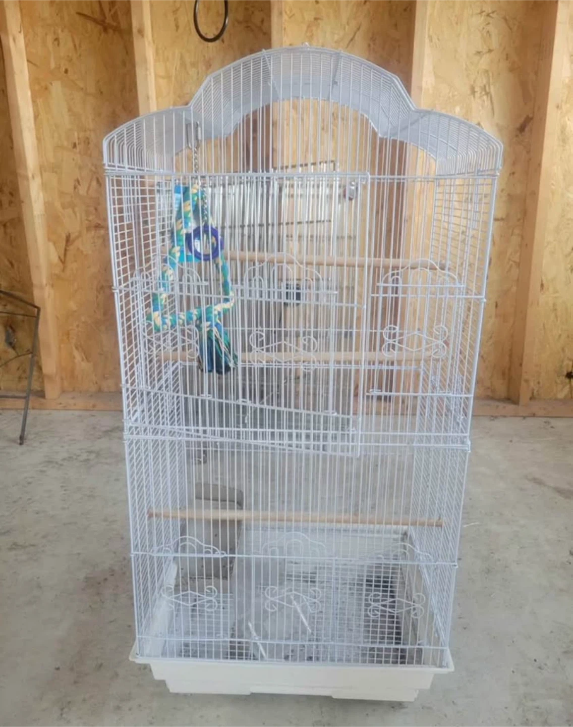 Bird Cage