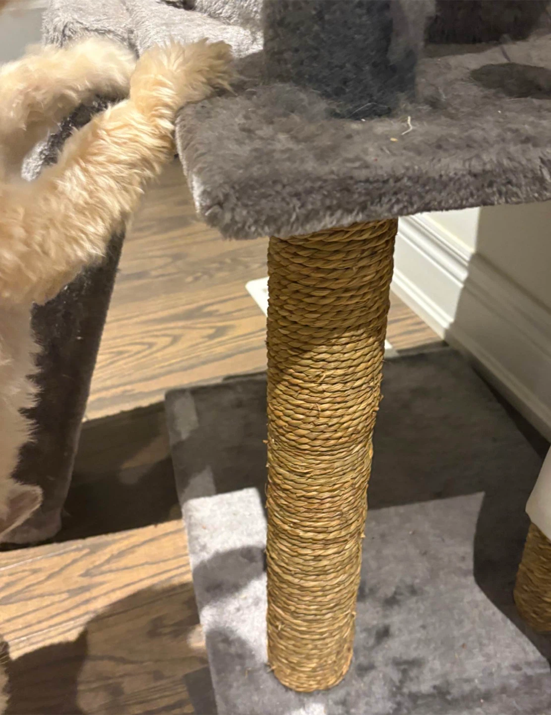 Grey Multi-Level Cat Tree with Scratching Posts - photo 3