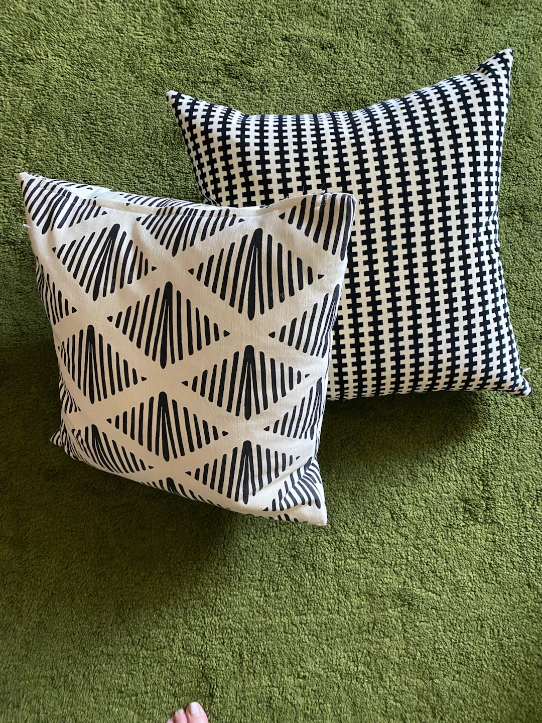 Two Black and White Patterned  feather Throw Pillows