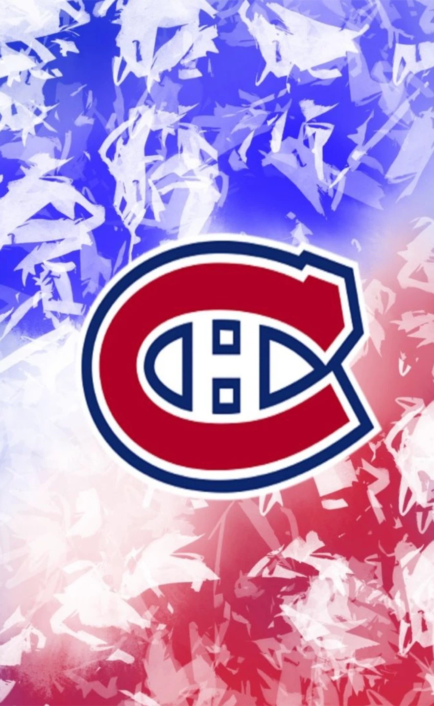 NHL Team - The original Six - photo 3