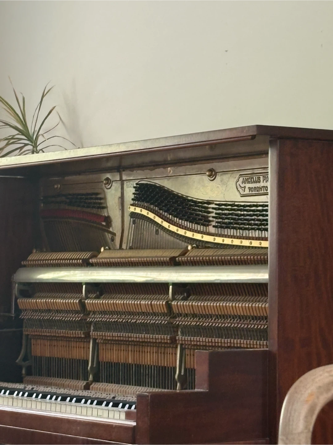 Just parts  free Vintage Angelus Piano Toronto