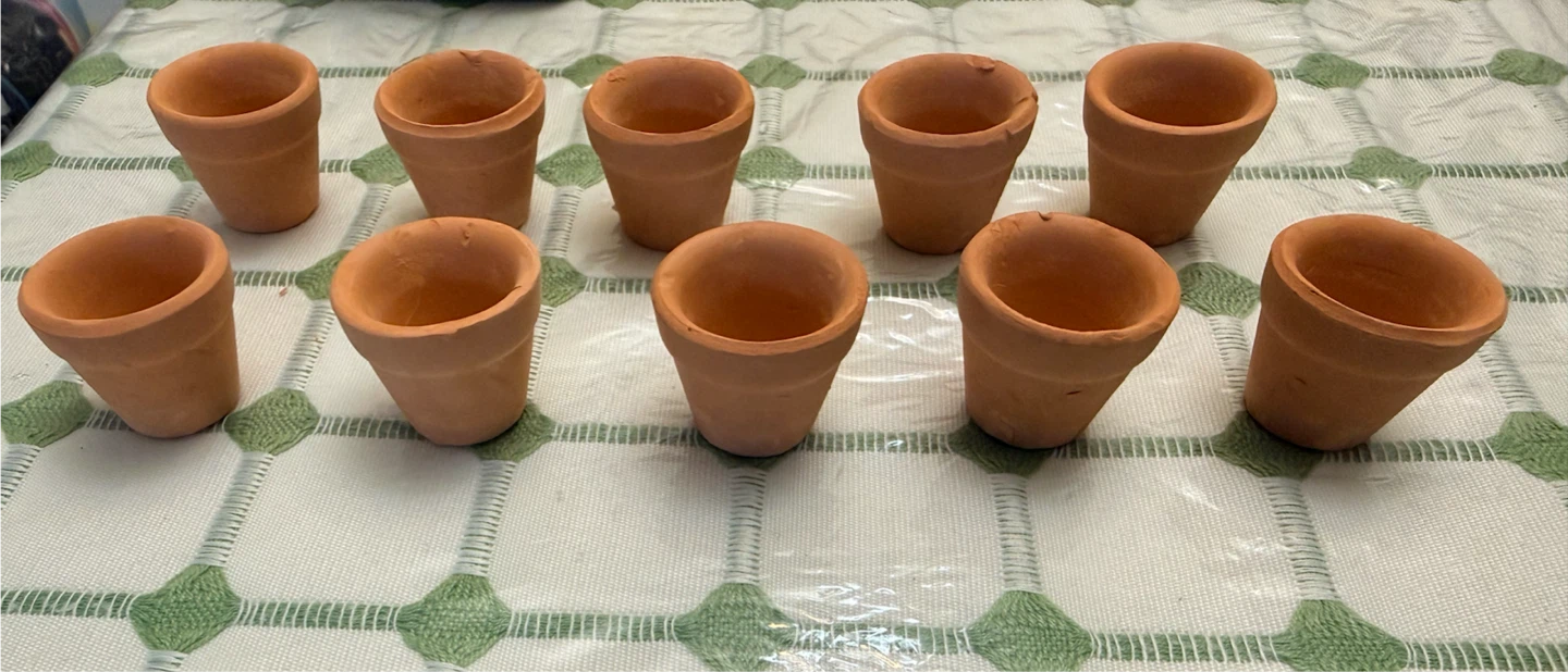 BRAND NEW: Set of 10 mini terracotta plant pots