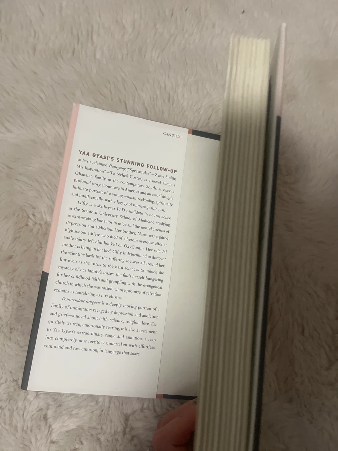 Transcendent Kingdom by Yaa Gyasi - photo 3