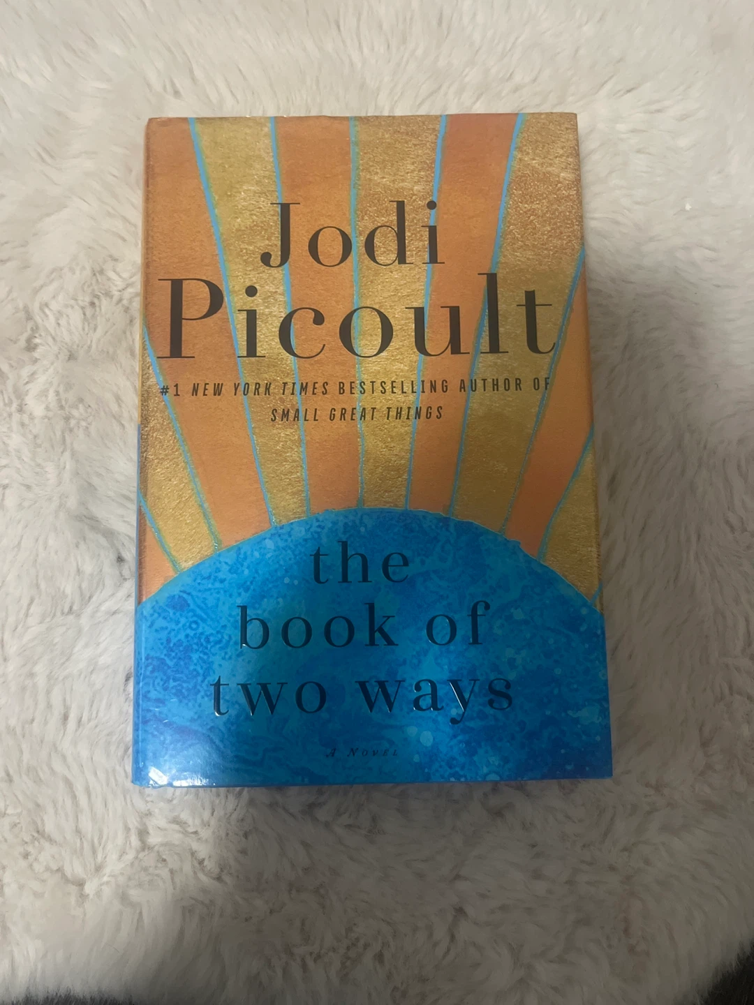 The Book of Two Ways by Jodi Picoult