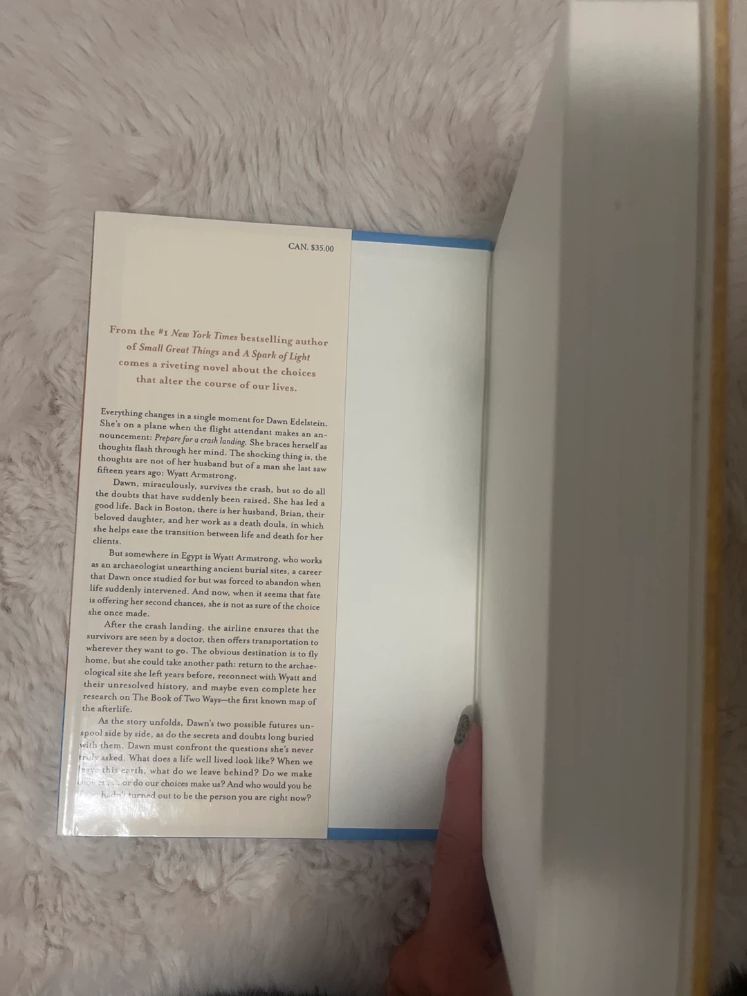 The Book of Two Ways by Jodi Picoult - photo 3