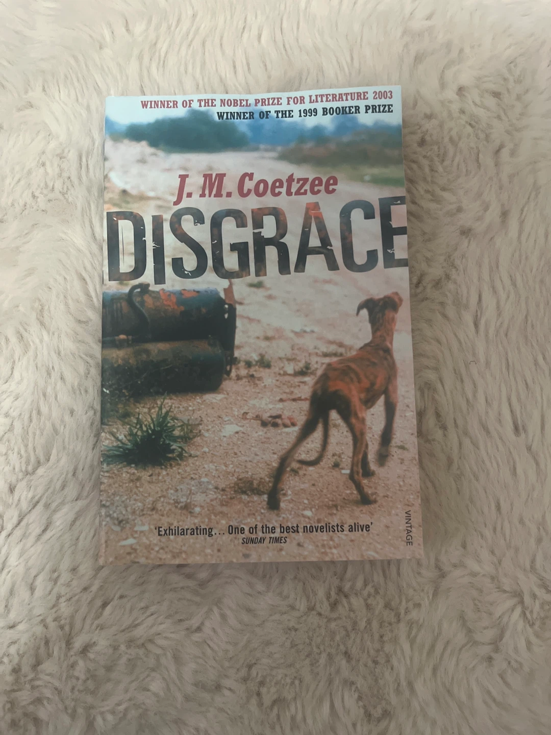 Disgrace by J. M. Coetzee