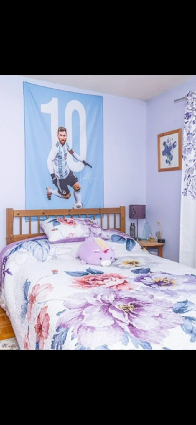 Bed frame and Mattress- Full size