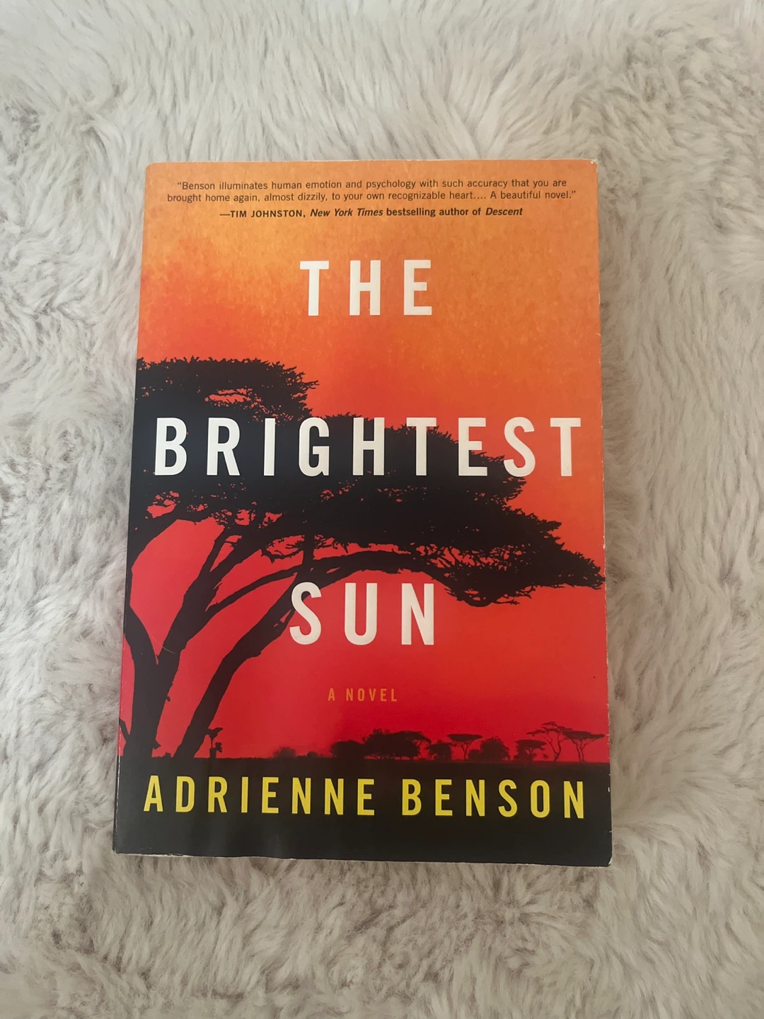 The Brightest Sun by Adrienne Benson