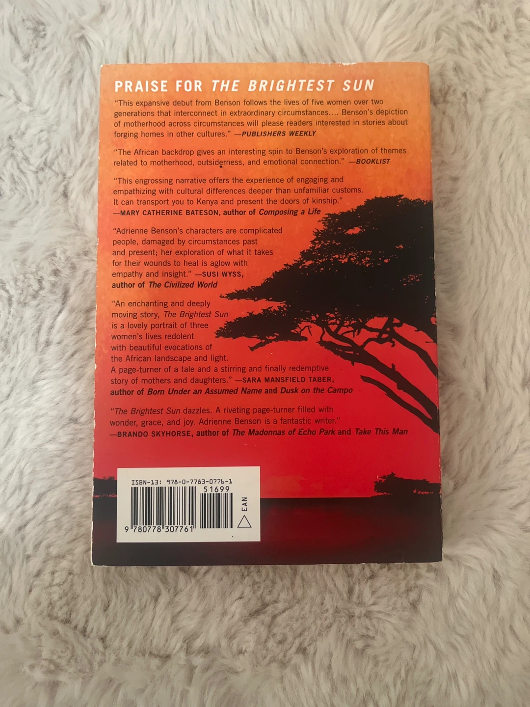 The Brightest Sun by Adrienne Benson - photo 2