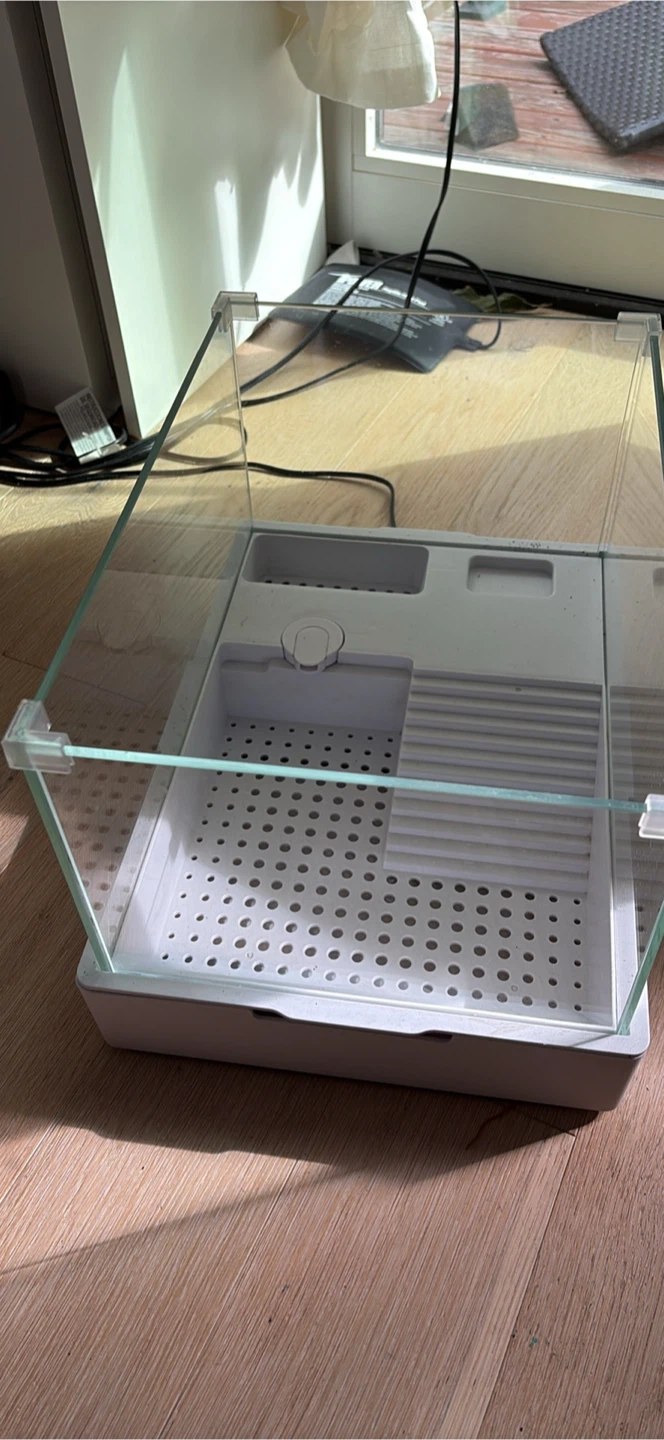 Small Glass Turtle Tank with Filter - photo 2