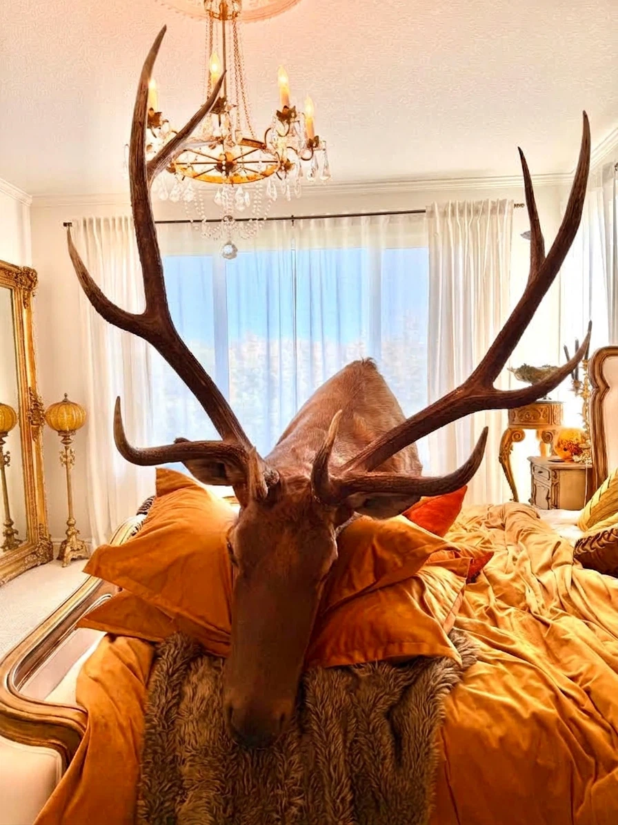 Impressive Large Elk Taxidermy Mount - photo 2