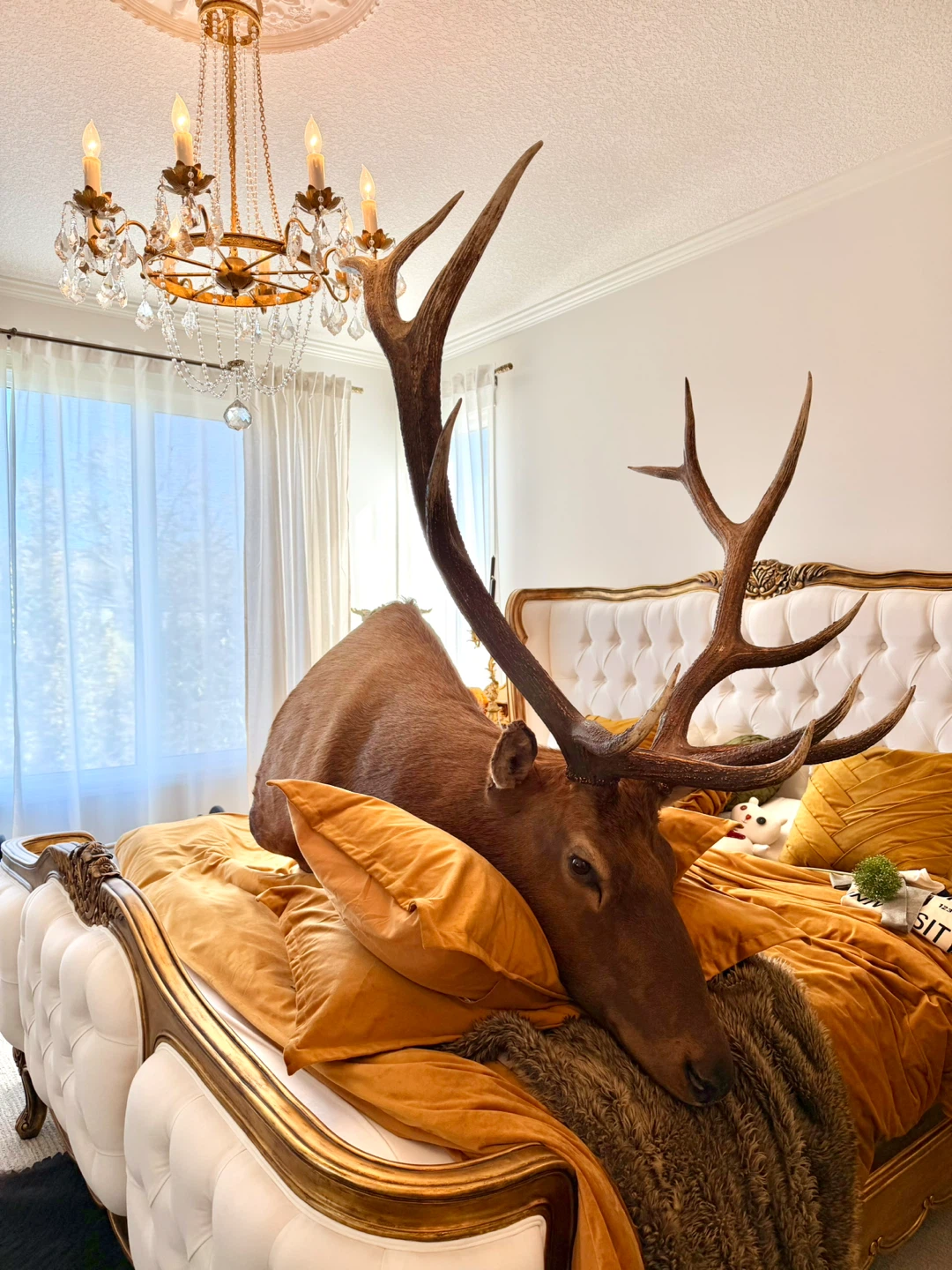 Impressive Large Elk Taxidermy Mount - photo 4