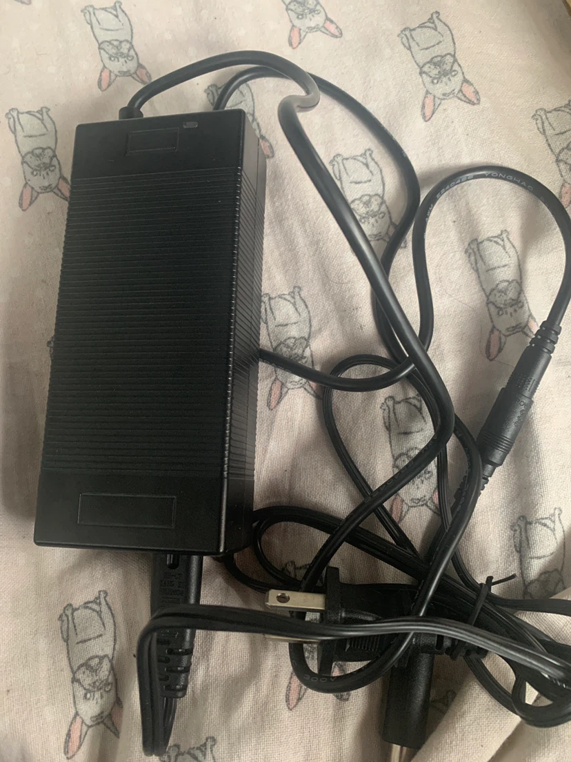 Hyleton Battery Charger Model HLT-180-4202000 - photo 3