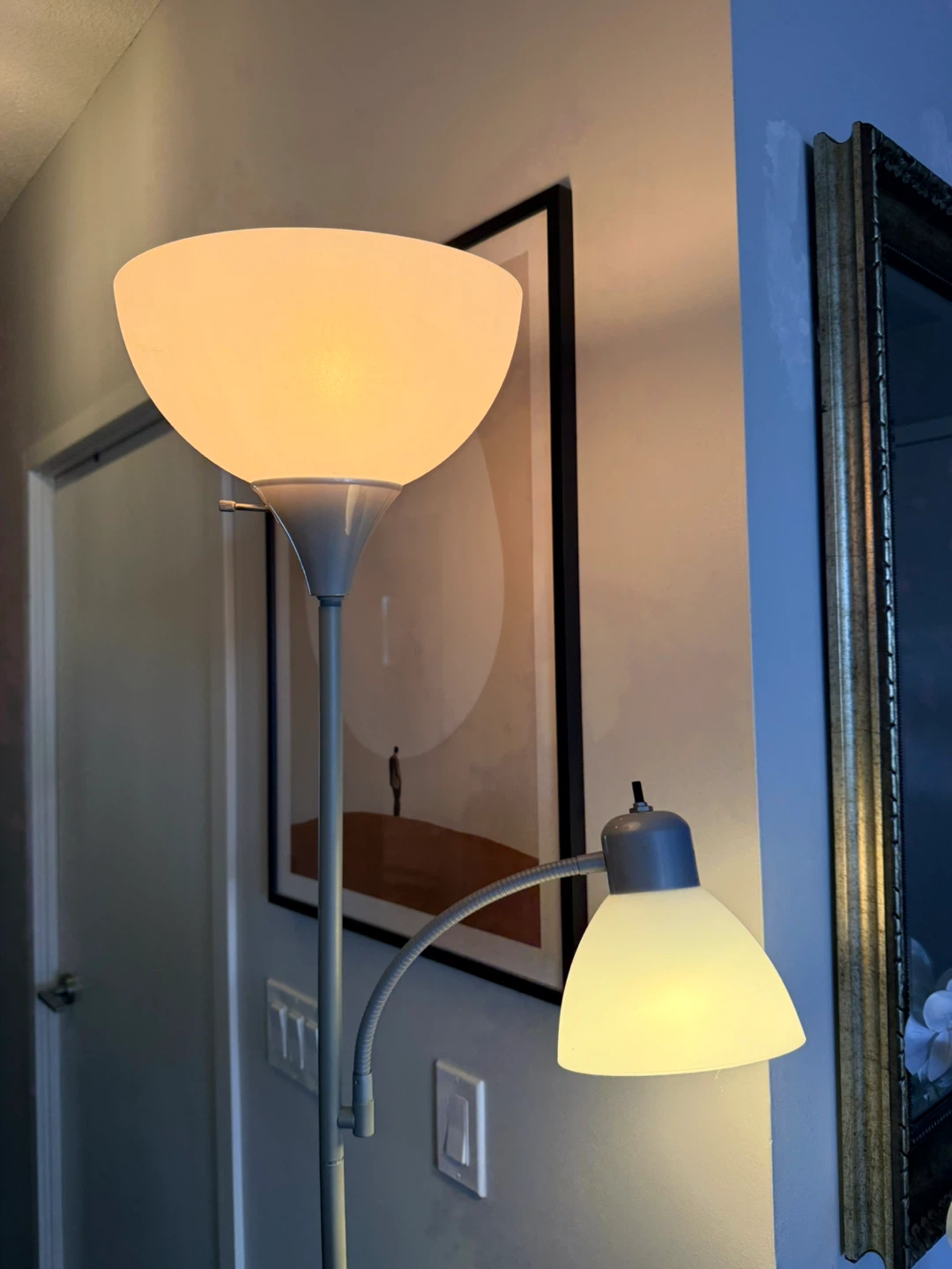 Silver Floor Lamp with Reading Light