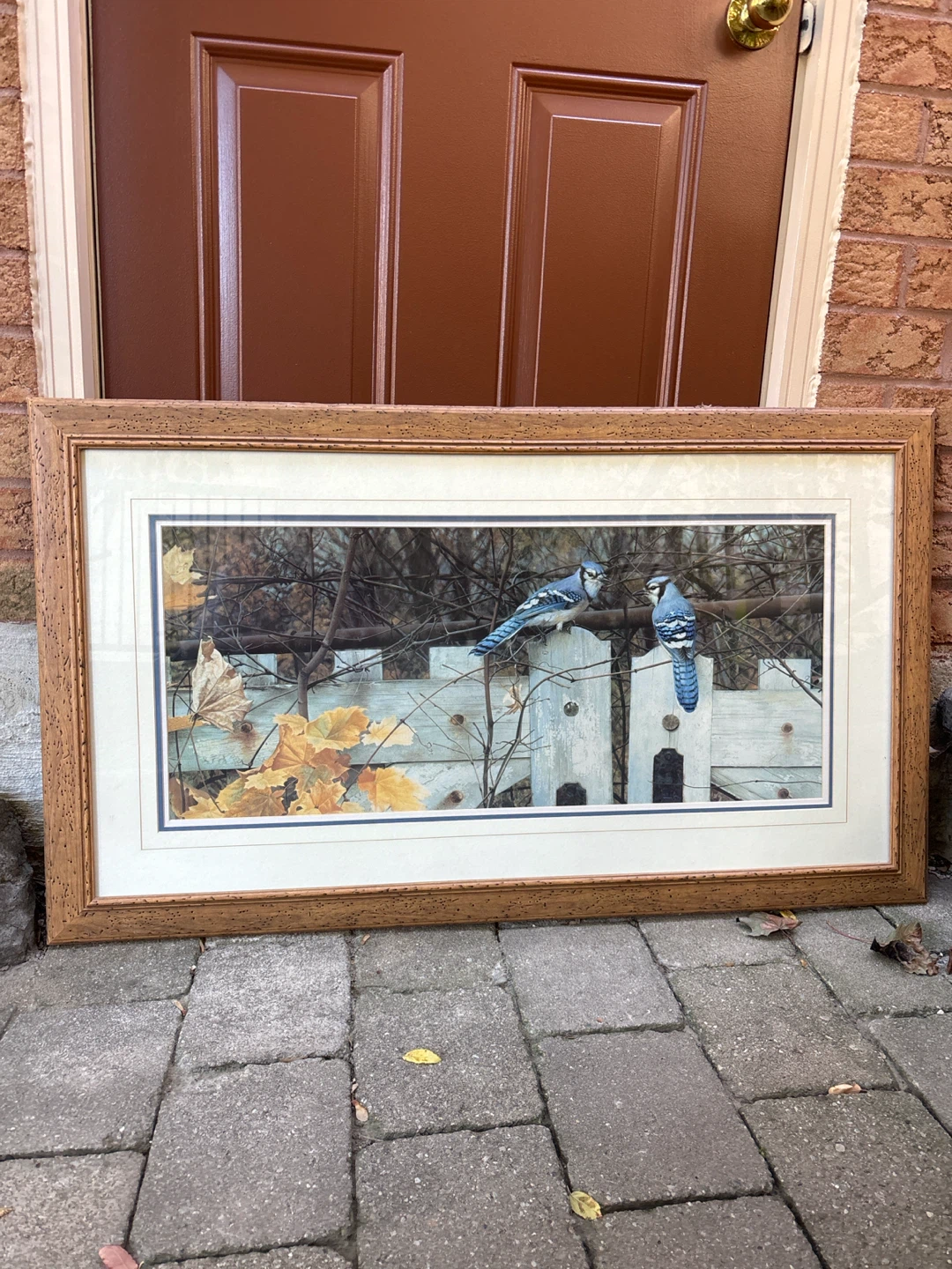 Blue Jays Framed Art Print