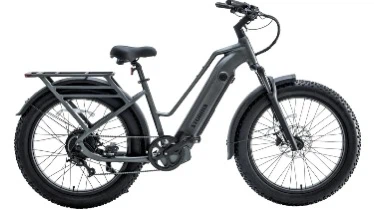 Storm X Electric Bike by Favorite - photo 4