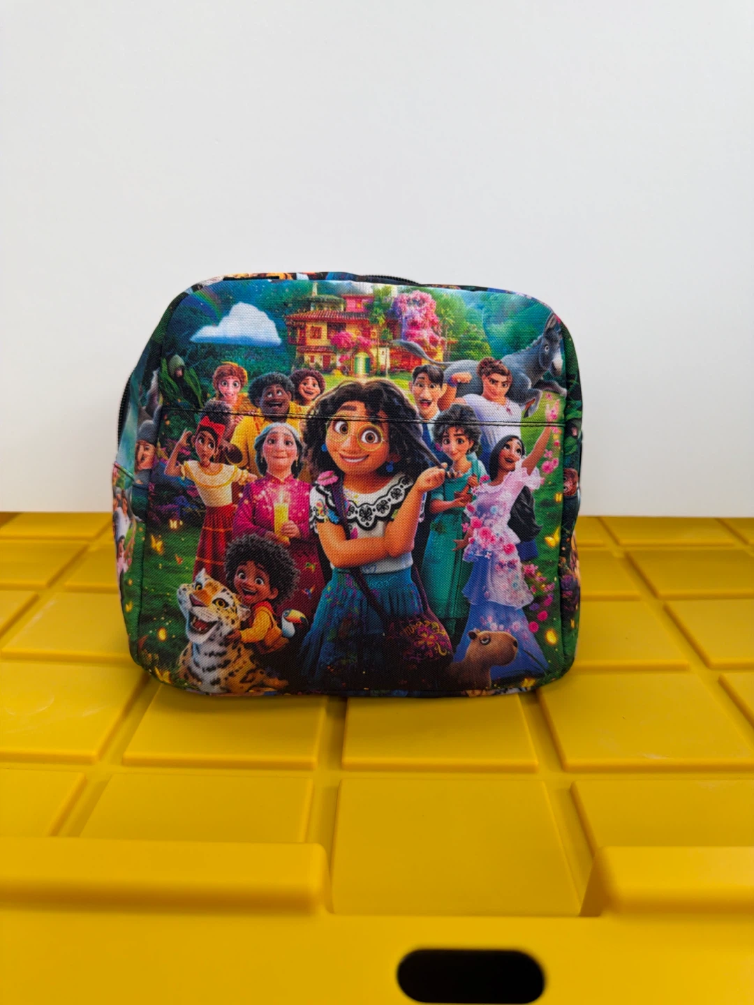 Disney Encanto Character Pouch