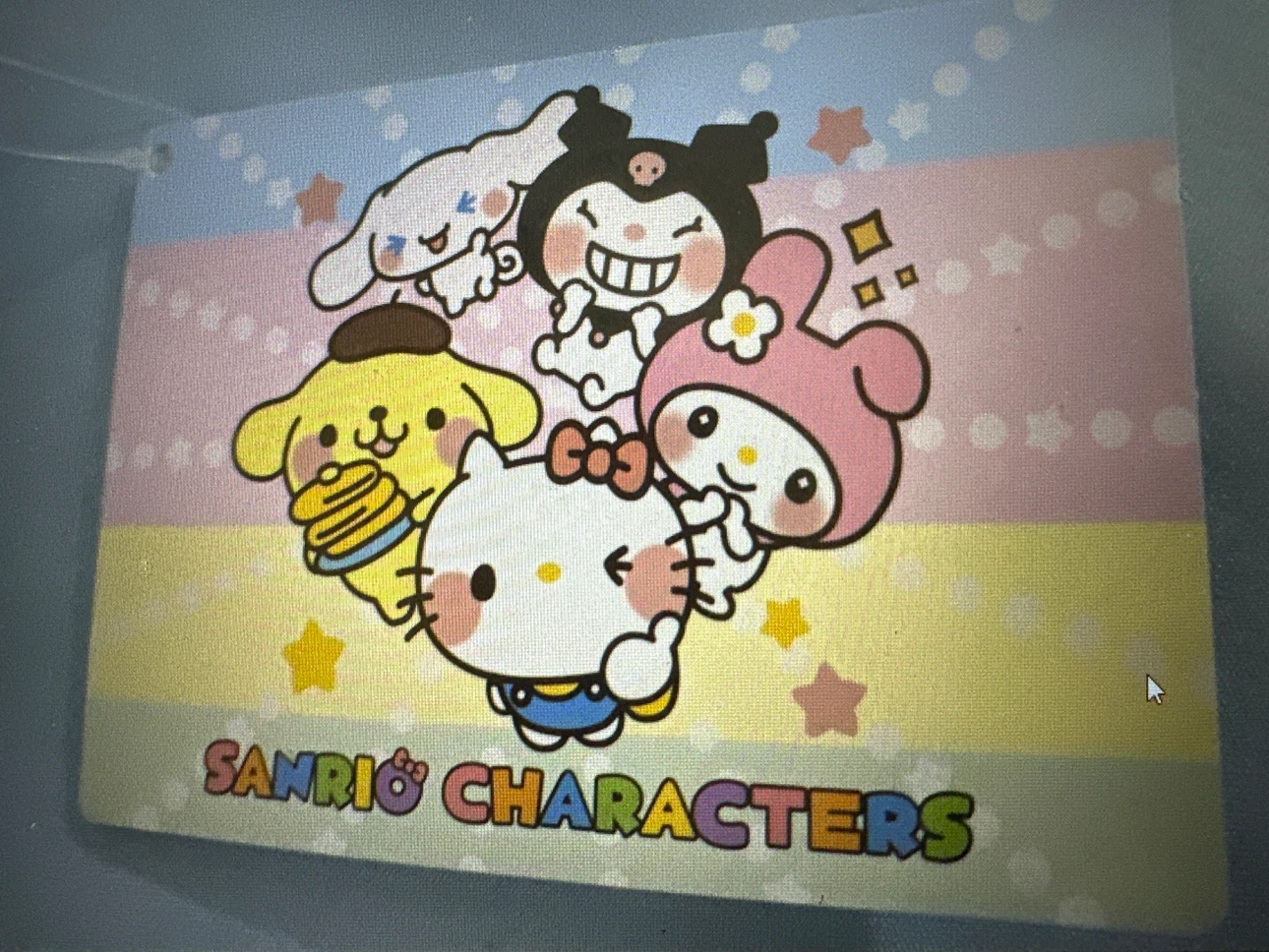 Sega Sanrio Cinnamoroll Plushie - photo 4
