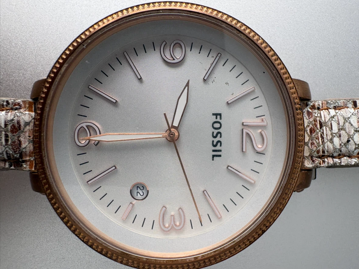 Fossil Watch