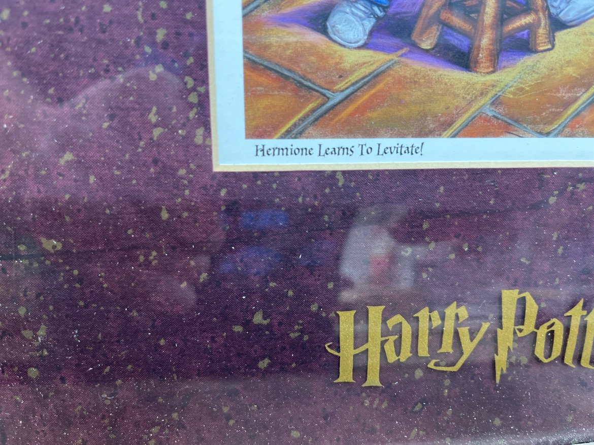 2 Framed Harry Potter Art Prints - photo 5