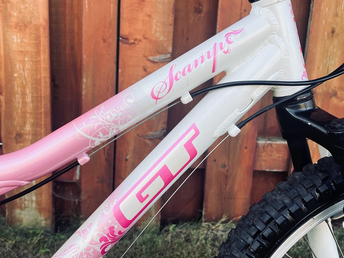 20" GT Scamp Girls' Mountain Bike – New Grips & Shifter - photo 4