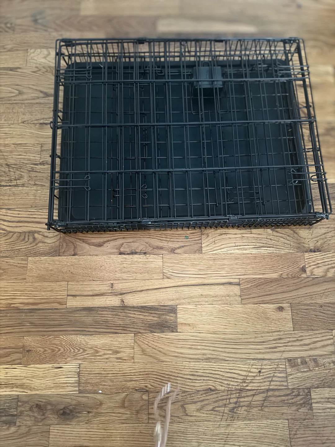 Collapsible Metal Dog Crate - photo 2