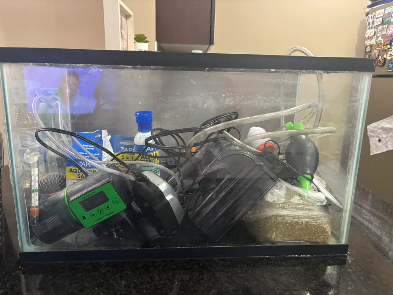 Glass Fish Aquarium with Various Accessories
