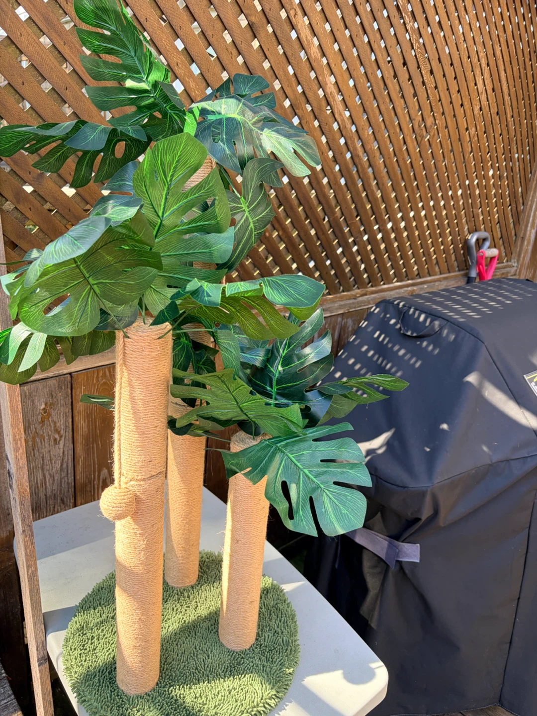 Monstera Leaf Cat Scratching Post