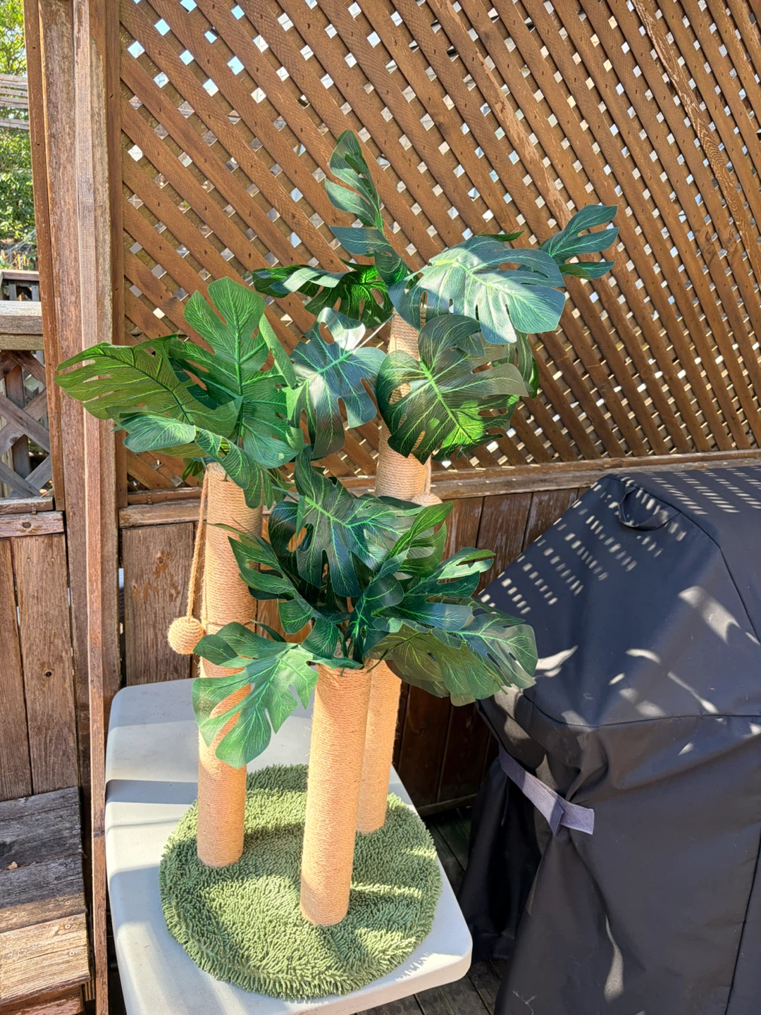 Monstera Leaf Cat Scratching Post - photo 3