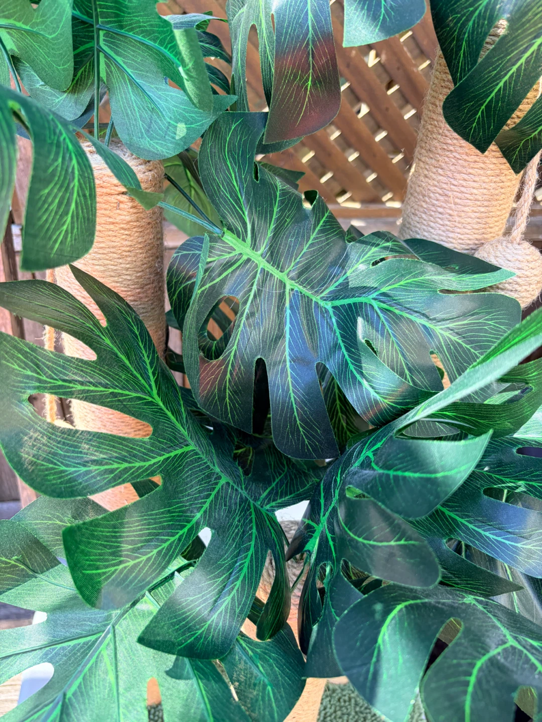 Monstera Leaf Cat Scratching Post - photo 4