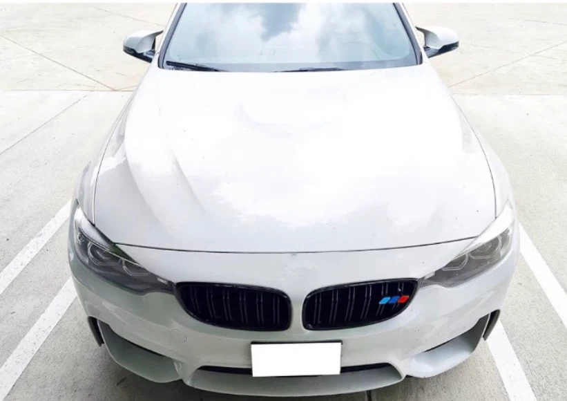 BMW Grill Insert - photo 5