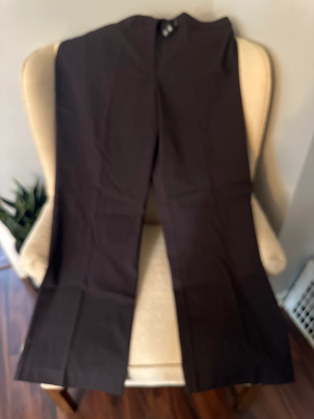 Lane Bryant Lexington pant
