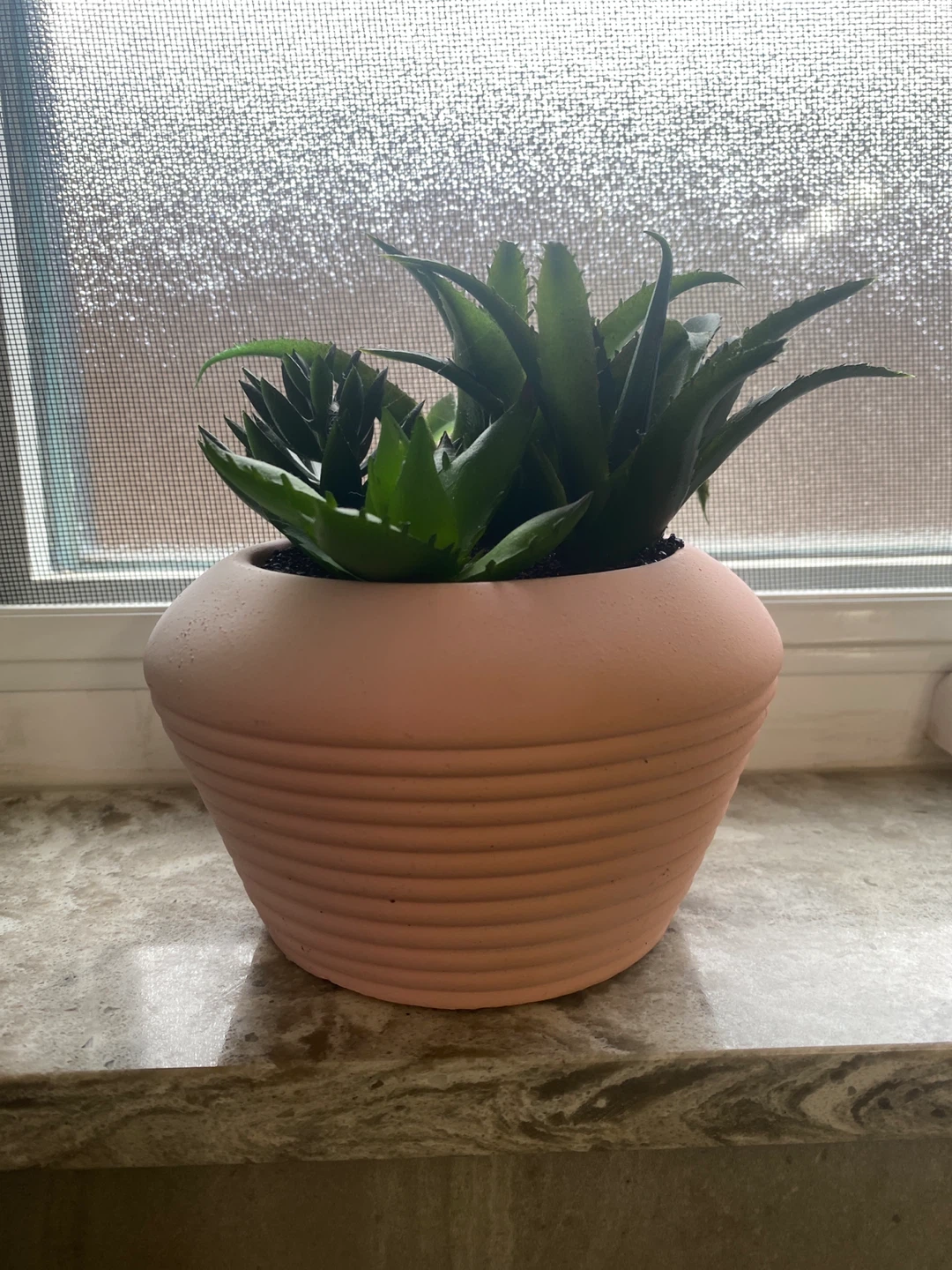 Artificial Succulents in Pink Pot