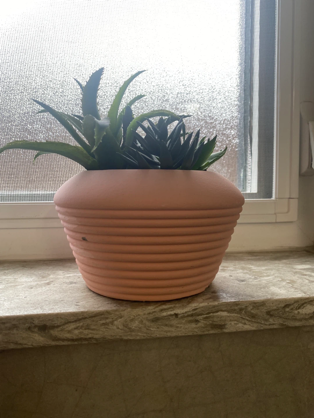 Artificial Succulents in Pink Pot - photo 2