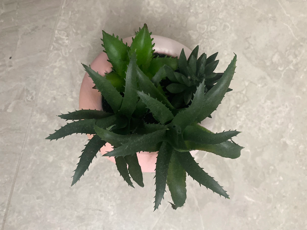 Artificial Succulents in Pink Pot - photo 3