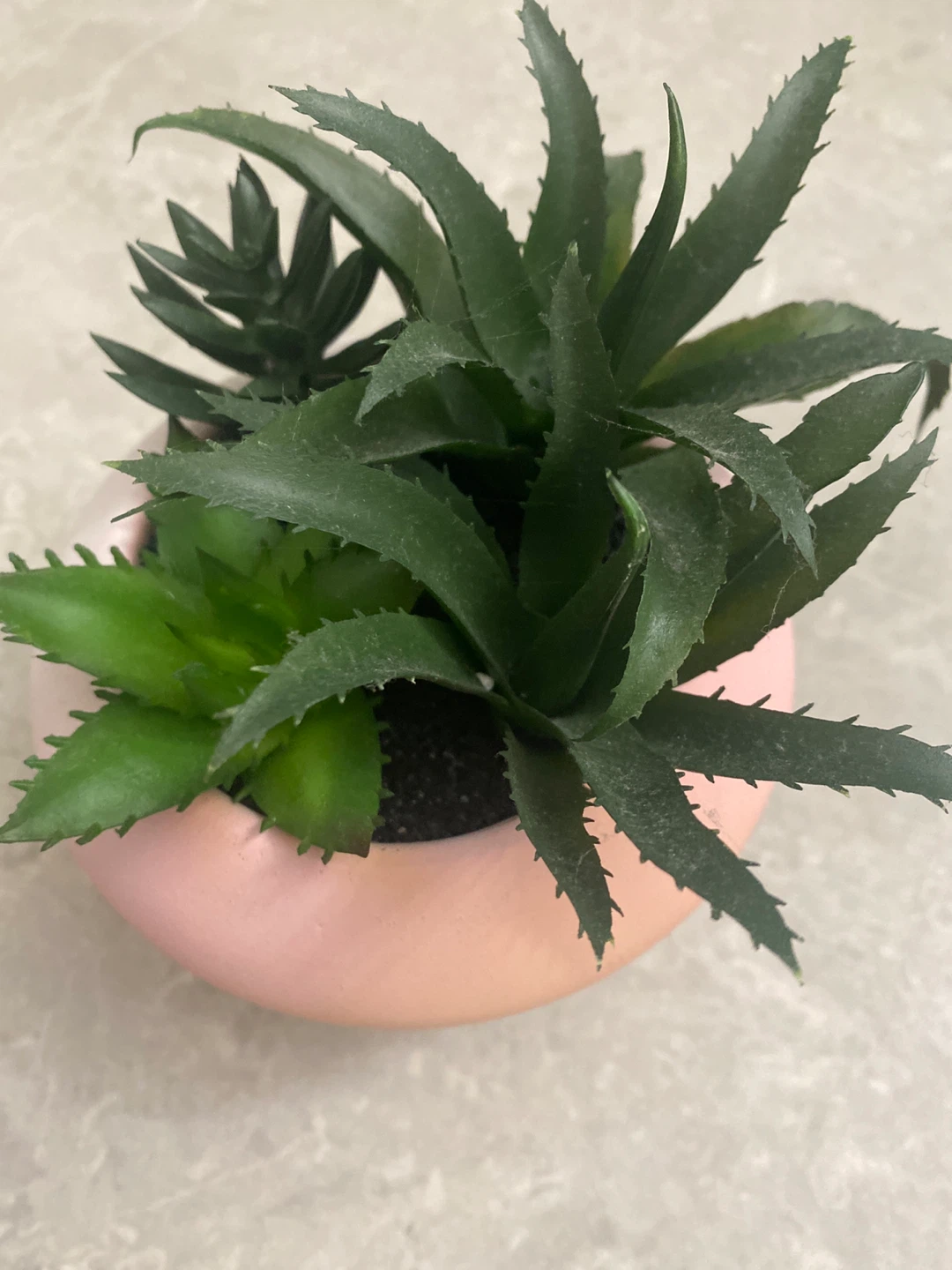 Artificial Succulents in Pink Pot - photo 4