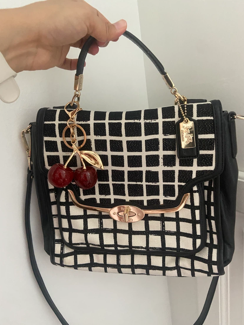 Coach Checkered Pattern bag
